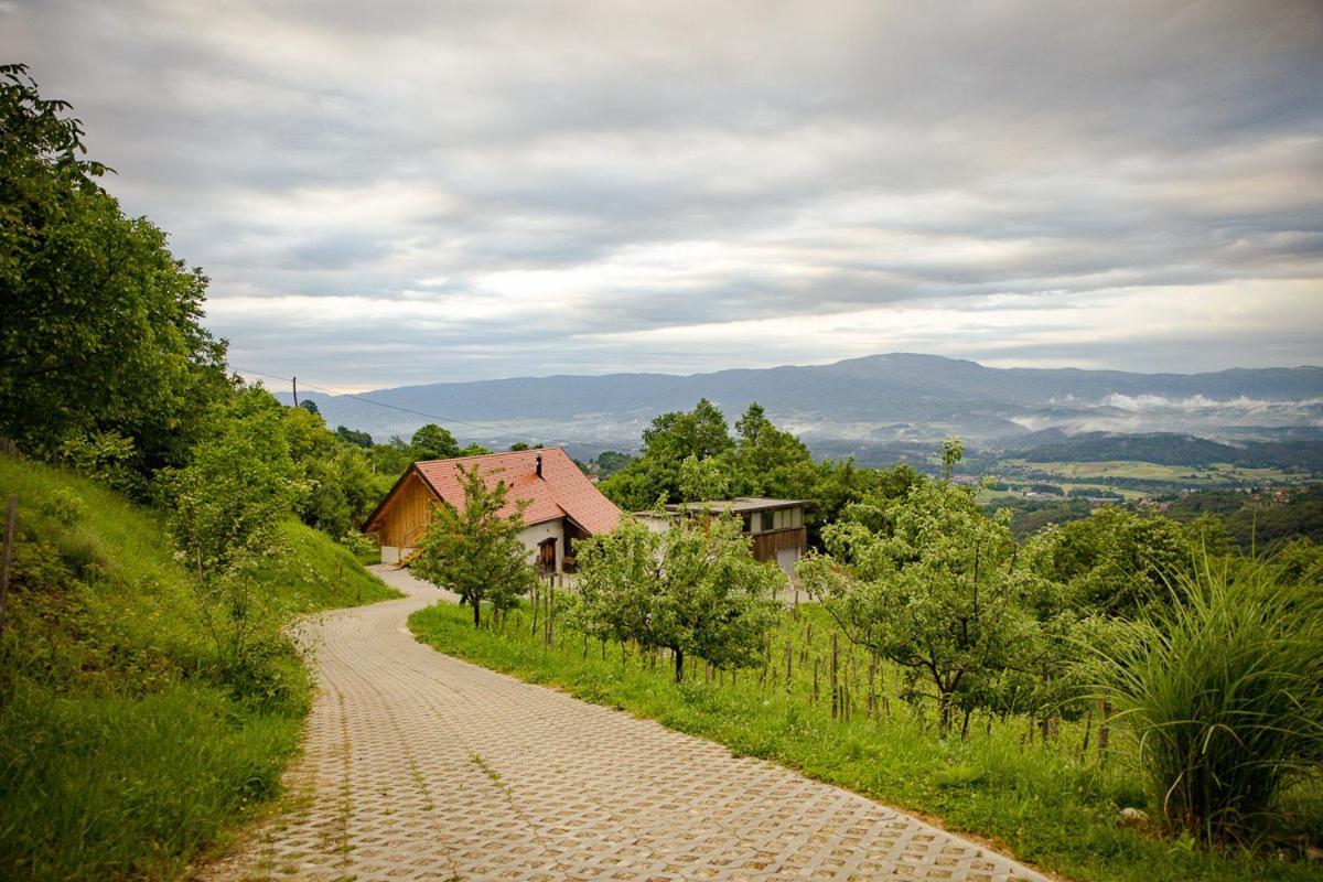 Vineyard Cottage Skatlar 3 Otočec Extérieur photo