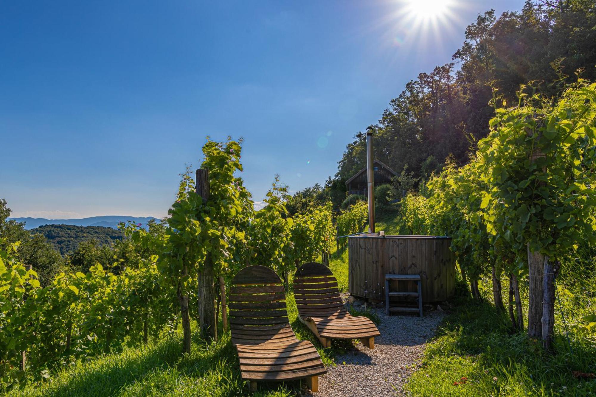 Vineyard Cottage Skatlar 3 Otočec Extérieur photo